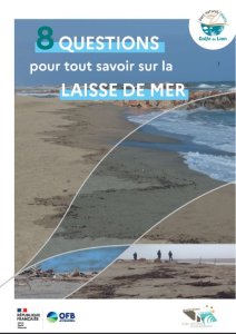Laisse_de_mer.jpg