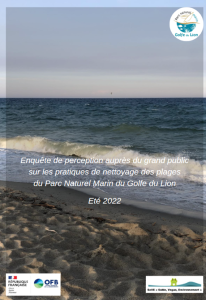 NettPlage_SaVE.png