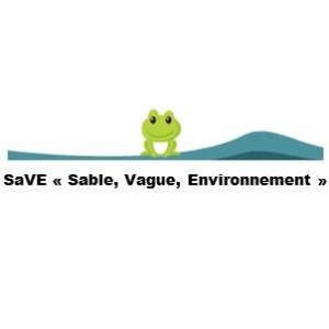 Logo_SaVE_Carr.jpg